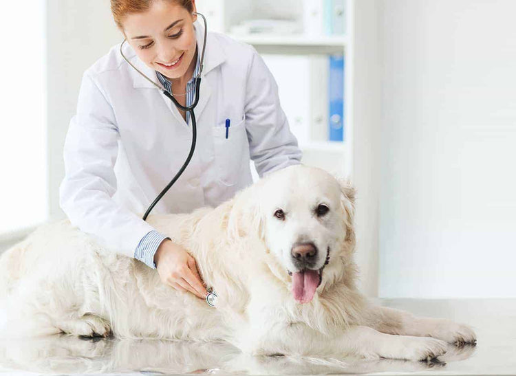 Animal Health