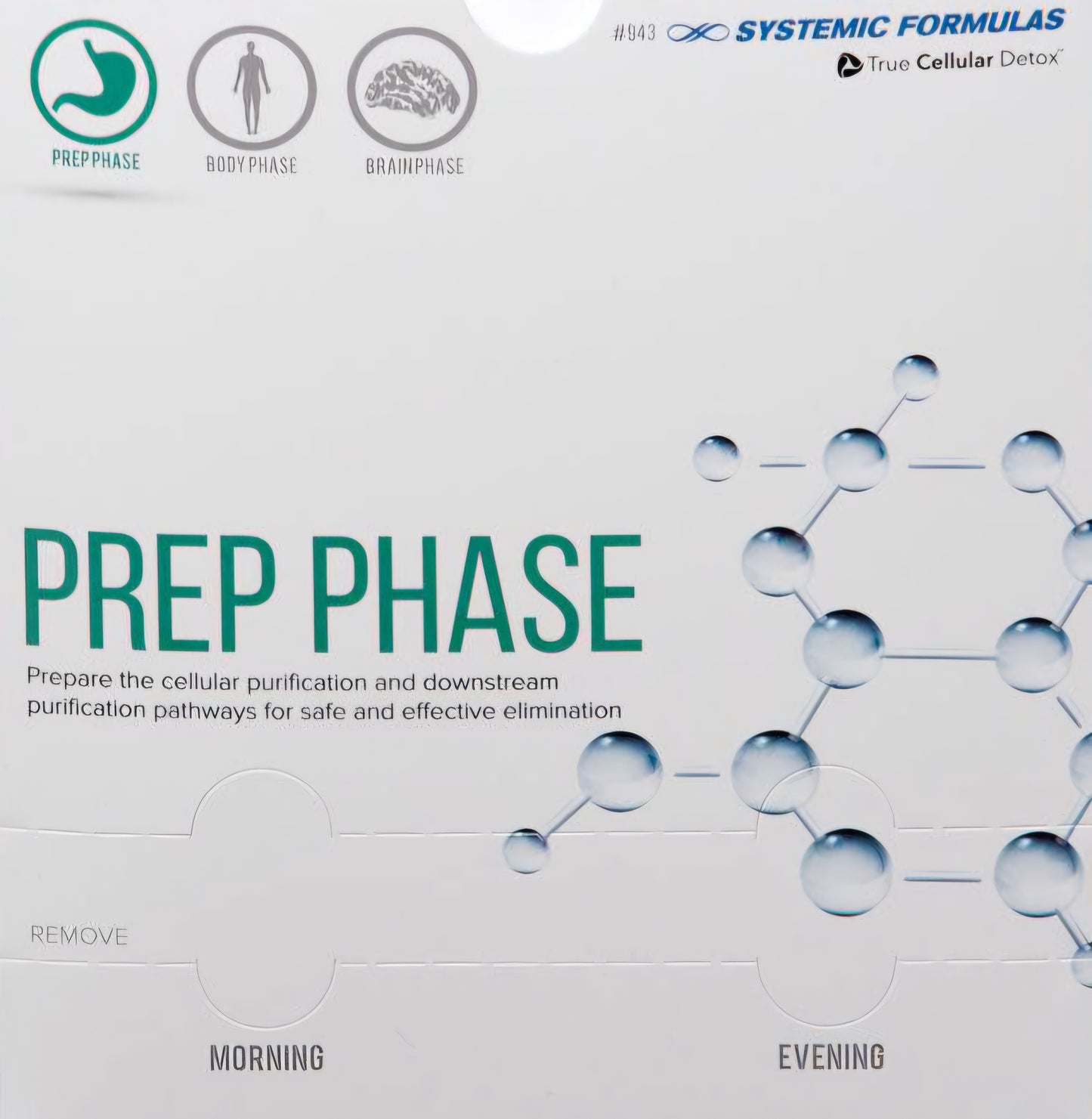 PREP PHASE
