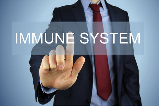 Support your Immune System Before and During Cold and Flu Season