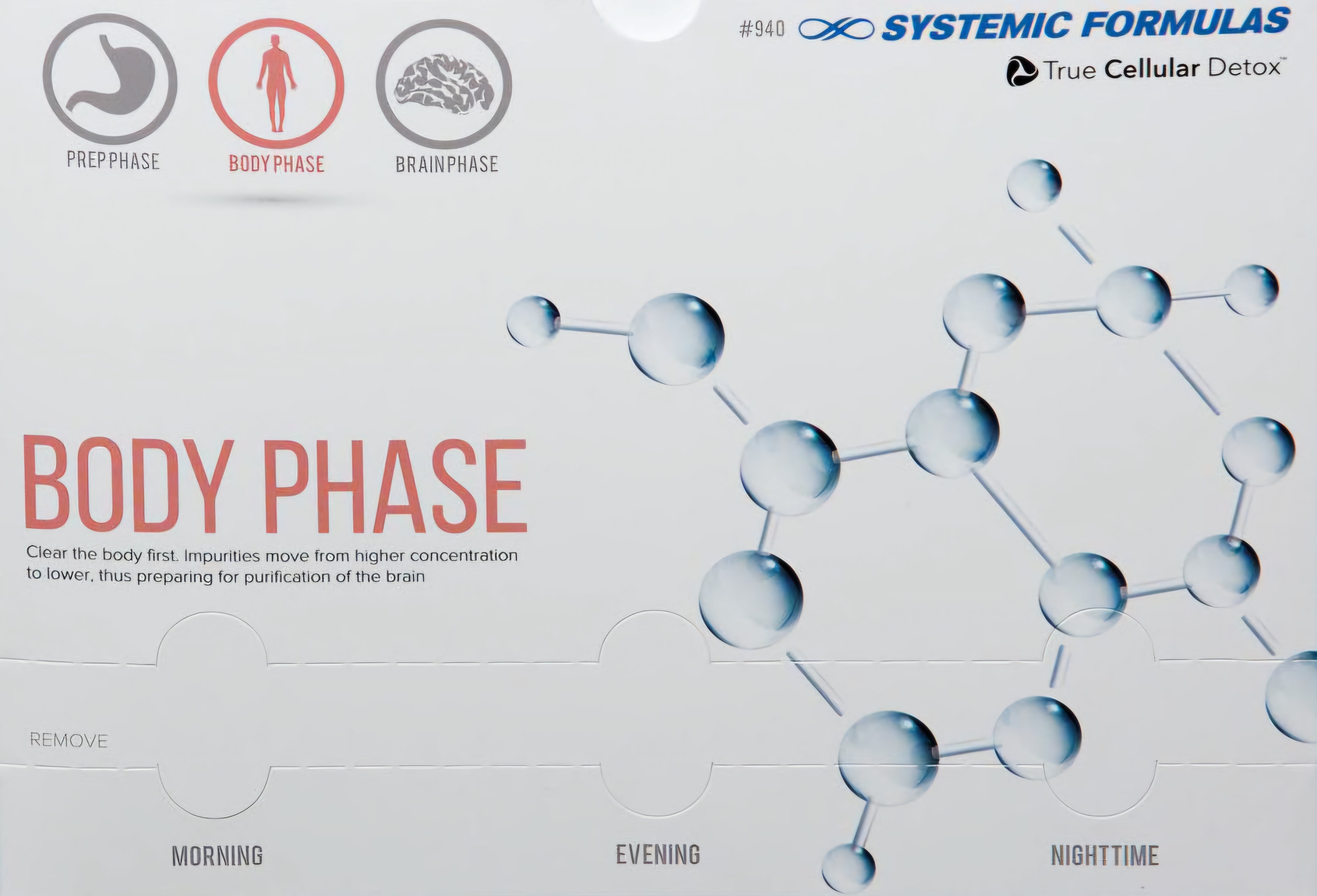 BODY PHASE – Tierna Wellness